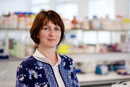 Image of Professor Eithne Costello, Chief investigator of UKEDI